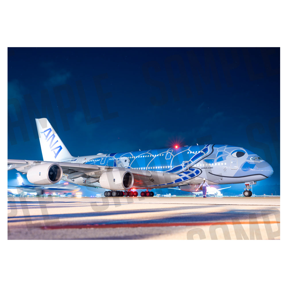 ANA AIRBUS A380 “FLYING HONU” B（A1サイズ〜A2サイズ）
