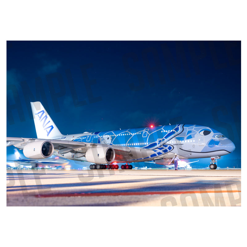 ANA AIRBUS A380 “FLYING HONU” B（A1サイズ〜A2サイズ）
