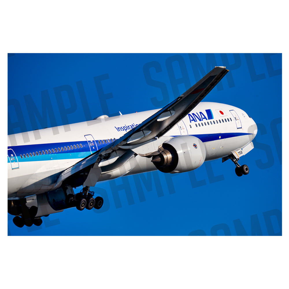 ANA BOEING 777-300（A1サイズ〜A2サイズ）