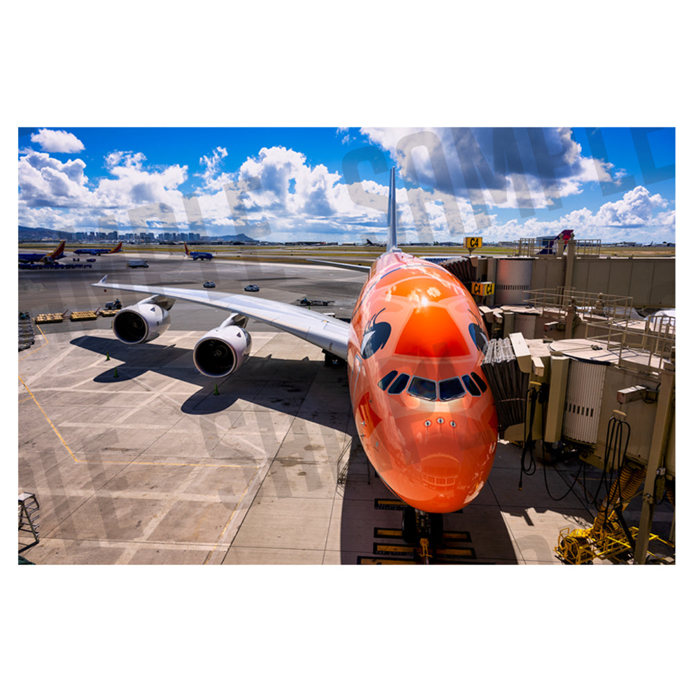 ANA AIRBUS A380 “FLYING HONU” A（A1サイズ〜A2サイズ）