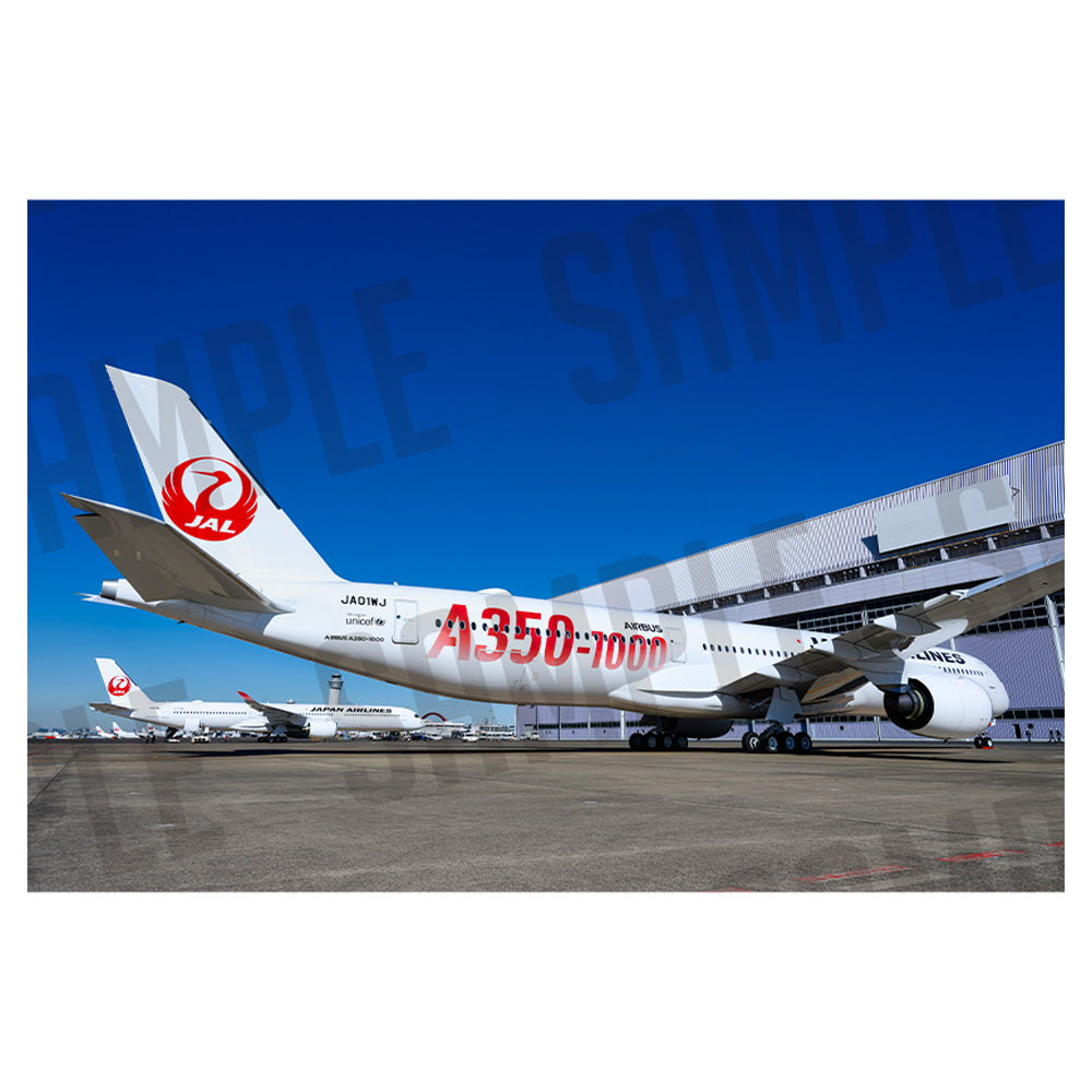 JAL AIRBUS A350-1000（A1サイズ〜A2サイズ）