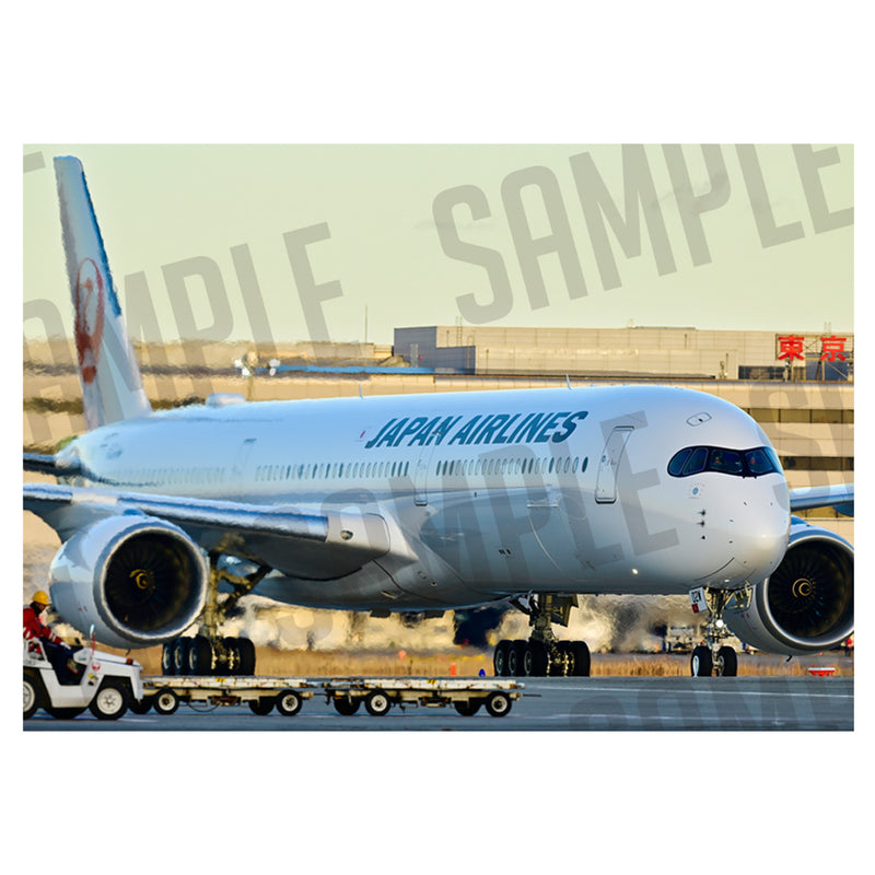 JAL AIRBUS A350-1000（A1サイズ〜A2サイズ）