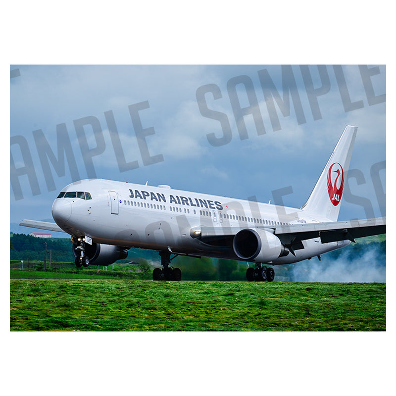 JAL BOEING 767-300ER B（A1サイズ〜A2サイズ）