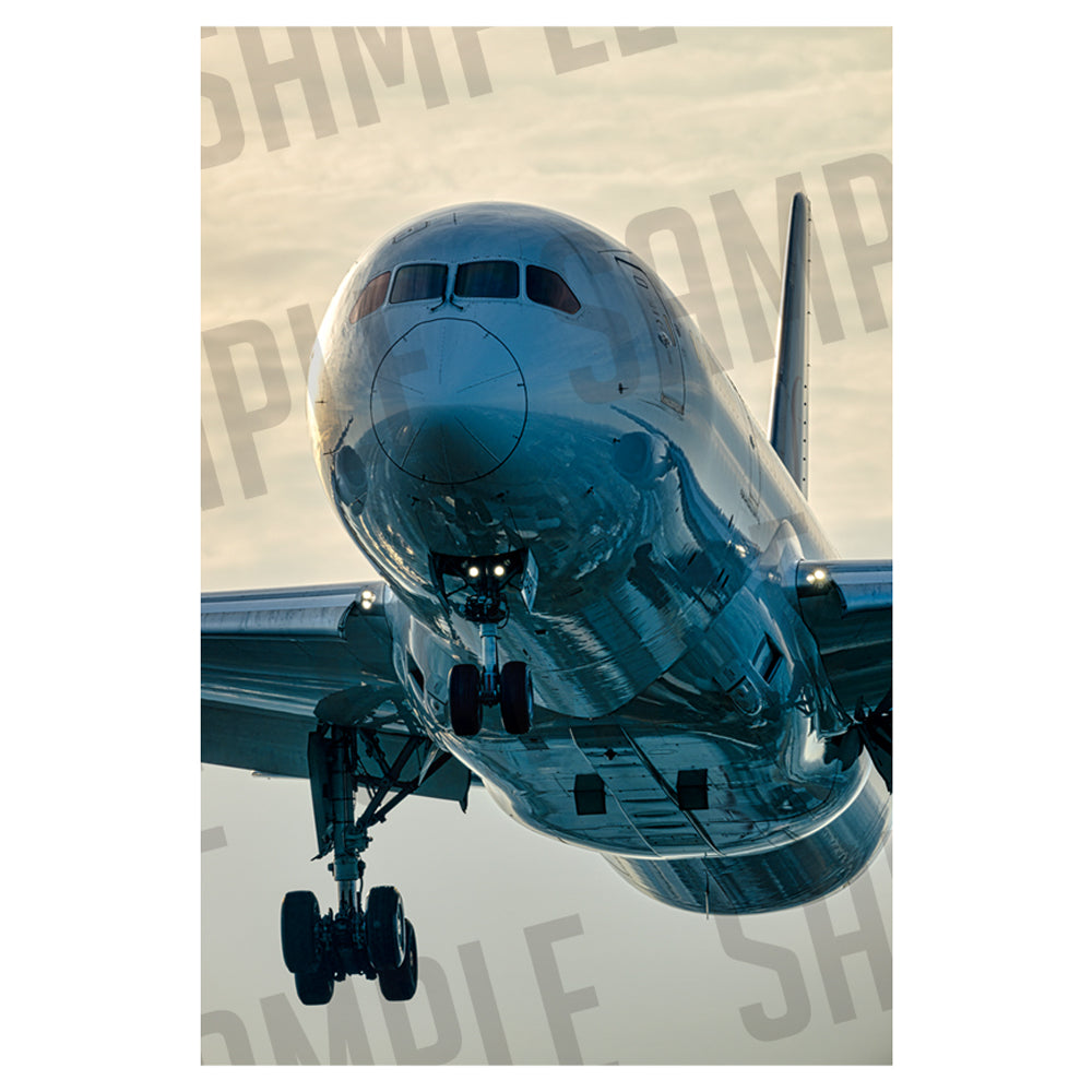 JAL BOEING 787-8（A1サイズ〜A2サイズ）