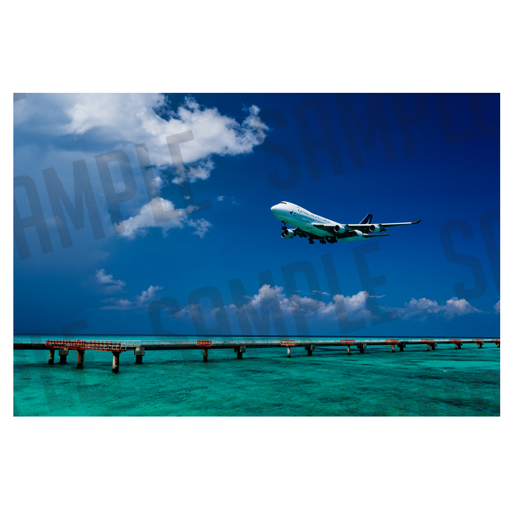 Image with text section
